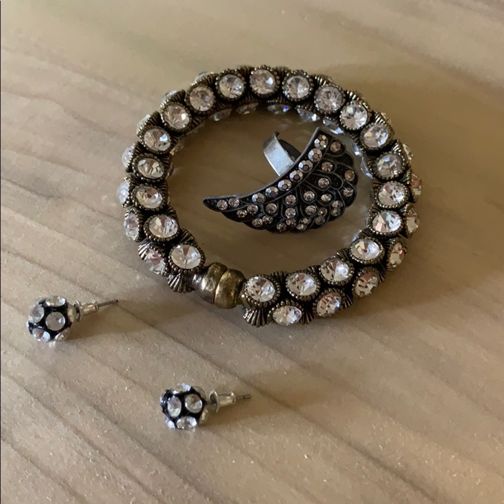 Jewelry set (earrings and magnetized bracelet)